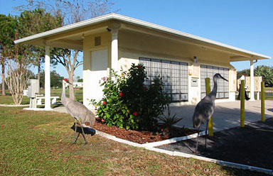 Foxwood Lake Estates Sand Hill Cranes Lakeland FL